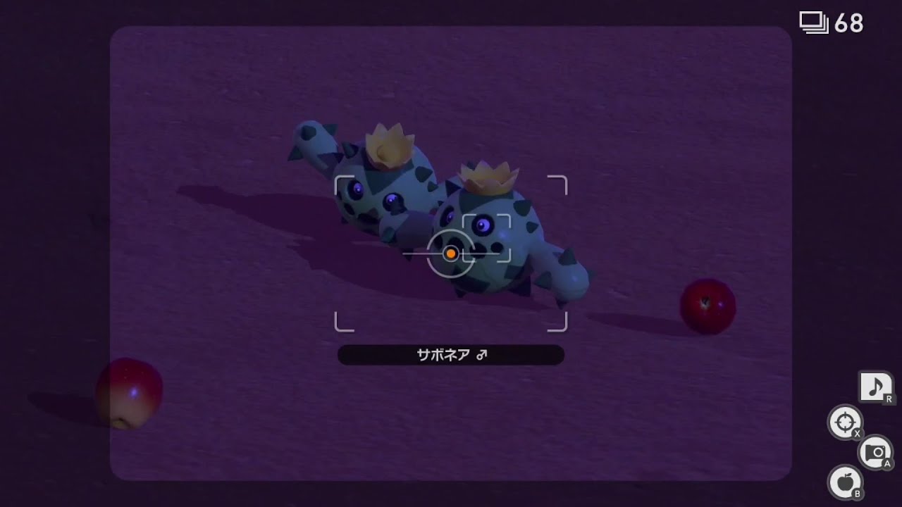 サボネアくん，君 面白すぎるわ【ポケモンスナップ#8】