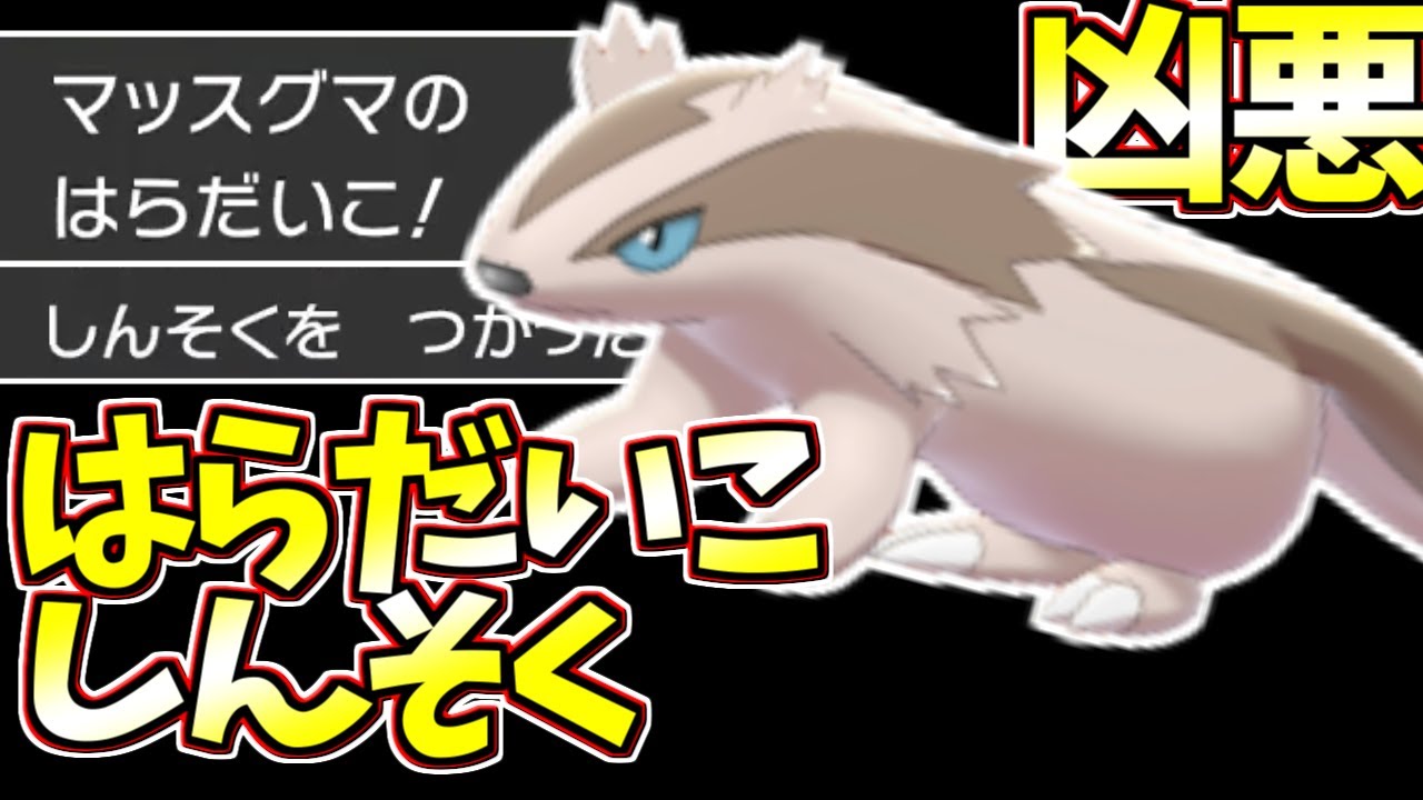 禁断の技！はらだいこ＋しんそくを使うマッスグマの原種が解禁！先制技無双できるらしい【ポケモン剣盾】【対戦実況】