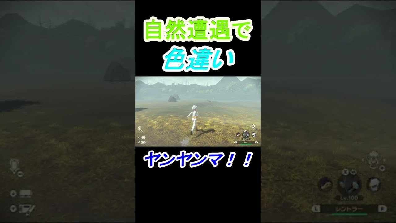 【青いトンボ！？】自然遭遇で色違いヤンヤンマと会えた者！！【大大大発生】　#Short【ヒスイの夜明け】【色厳選】【ポケモンレジェンズ】【Pokémon LEGENDSアルセウス】【Yanma】青緑色