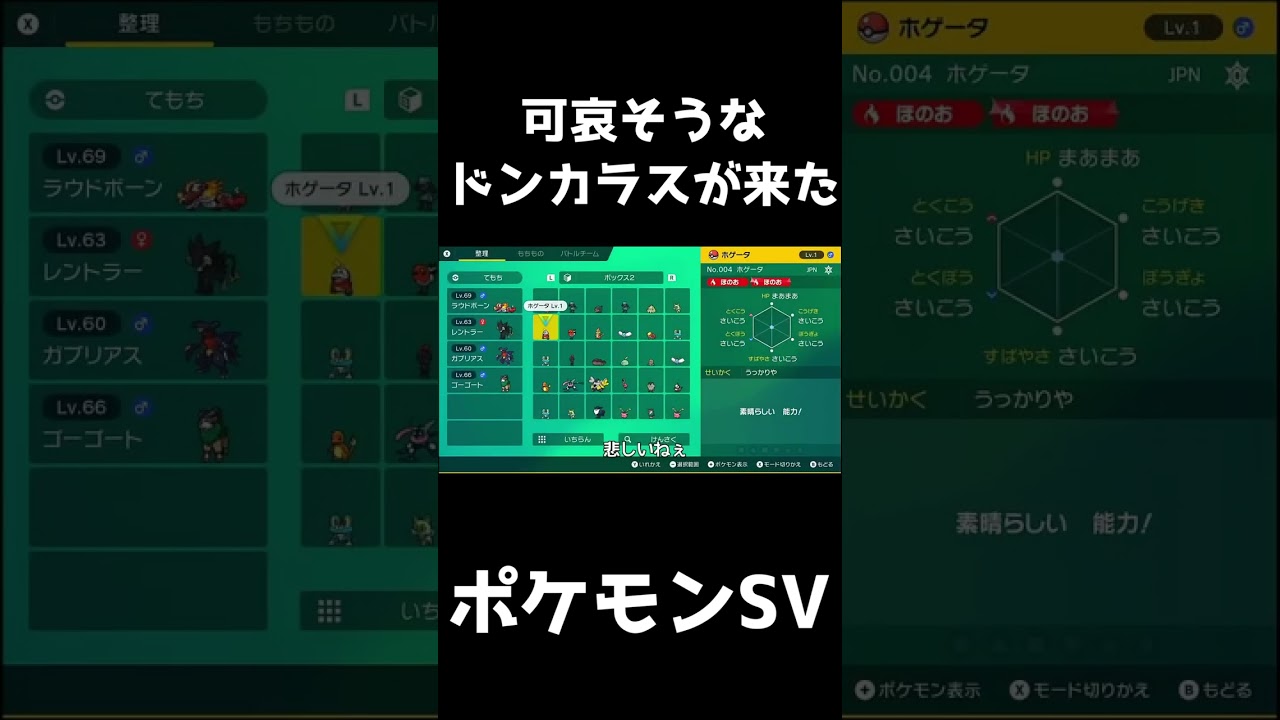 愛を知らないドンカラス【ポケモンSV】