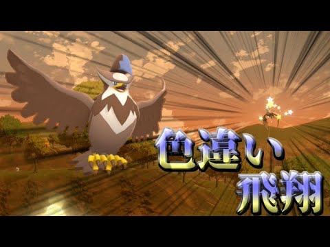 【レジェンズアルセウス】新しい地方と新しいボールで飛んでるムクホークの色違いをゲットしたい！【ゆっくり実況】