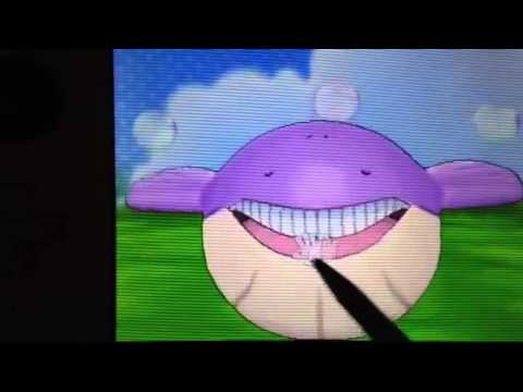 色違い ホエルコ ポケモンα、Ω