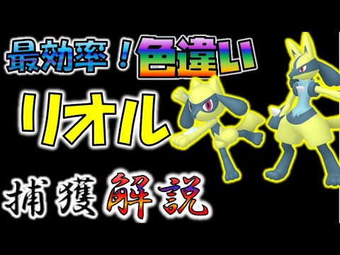 超効率！色違いリオル捕獲解説
