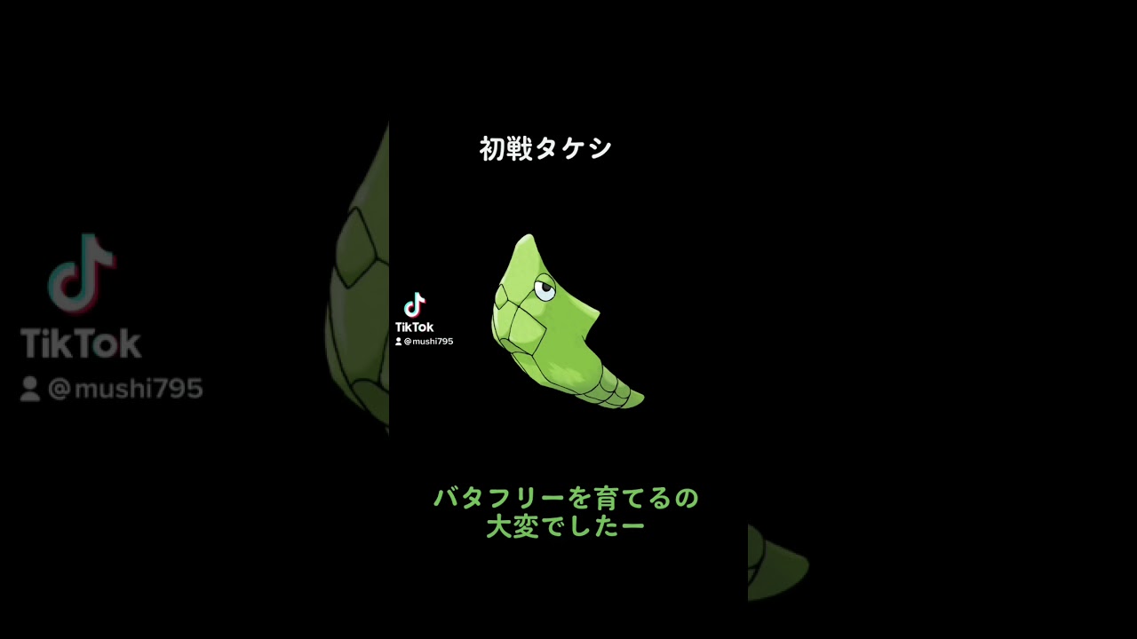 【ポケモン】初戦タケシに向けてバタフリー育成中。