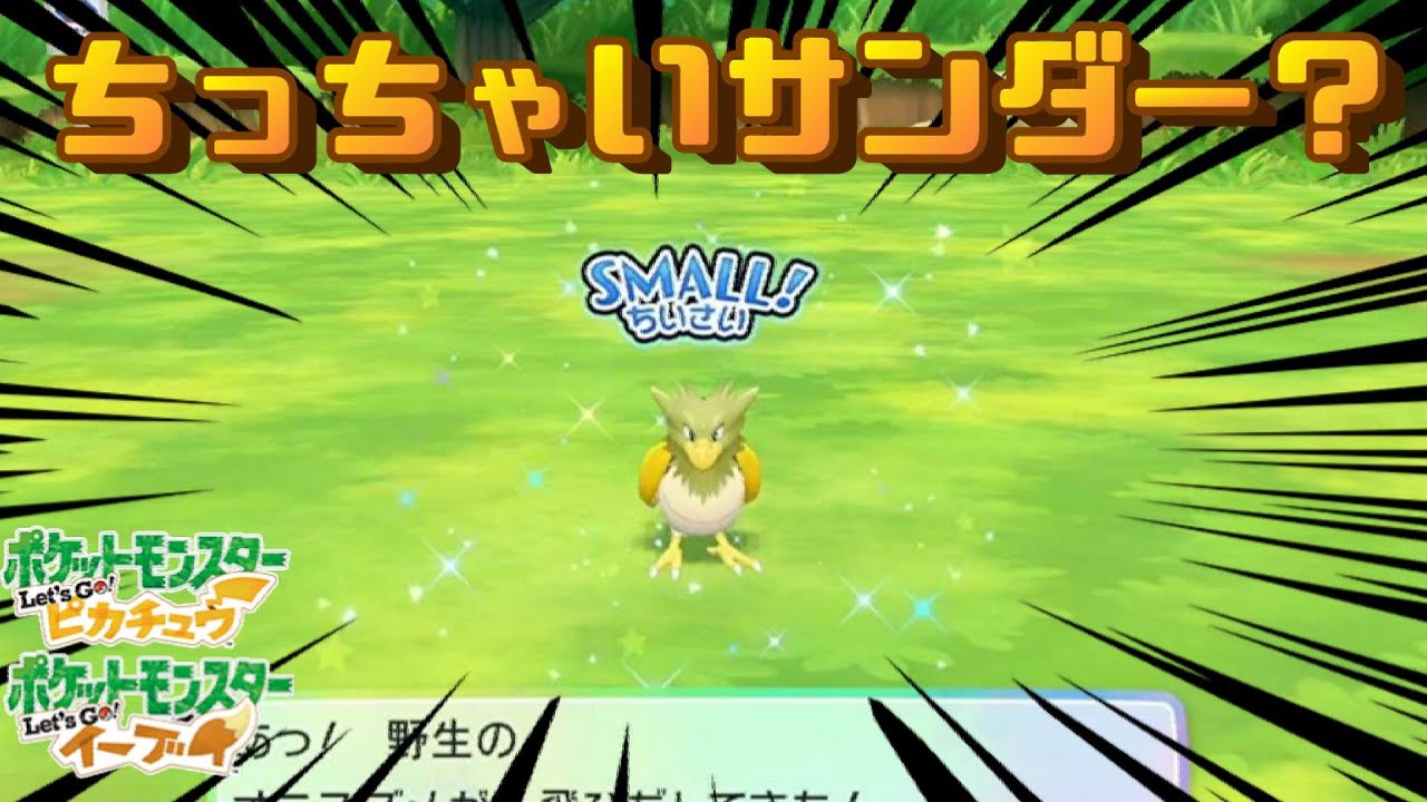 【ピカブイ】ちっちゃいサンダーっぽい色違いオニスズメを捕まえる【オニスズメ・オニドリル編】