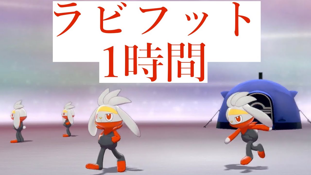 【1時間耐久】老波のかわいいラビフットたちとマスターどうじょうで1時間キャンプするだけの動画。/Camping with Raboot  for an hour.【ポケモン剣盾】