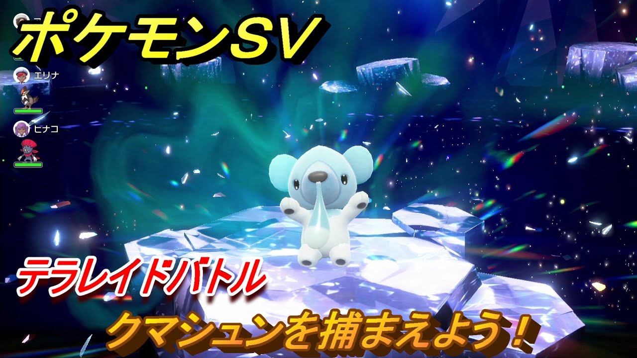 ポケモンＳＶ　クマシュンを捕まえよう！テラレイドバトルでポケモン・経験値アイテムなどをゲットしよう！　【スカーレット・バイオレット】