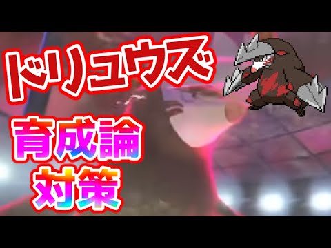 【ポケモン剣盾】ドリュウズ育成論対策【ポケモン育成論】