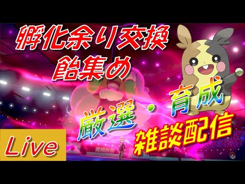 【ポケモン剣盾】キャモメ、チョンチー厳選　孵化余り交換＆ダイマックス【初見さん大歓迎】