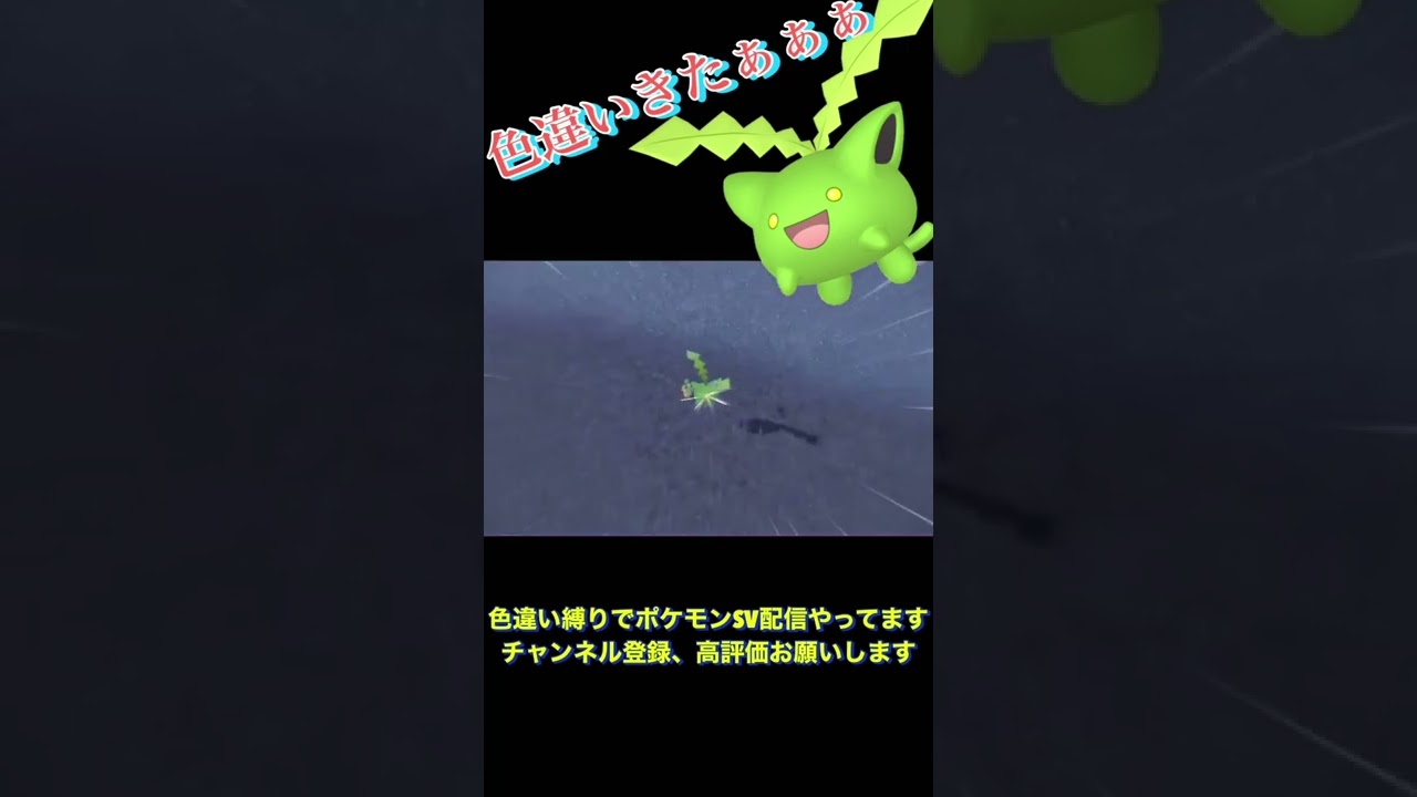 【ポケモンSV】色違いハネッコきたぁぁぁぁ！！ #shorts  #short  #ポケモンsv  #色違い縛り