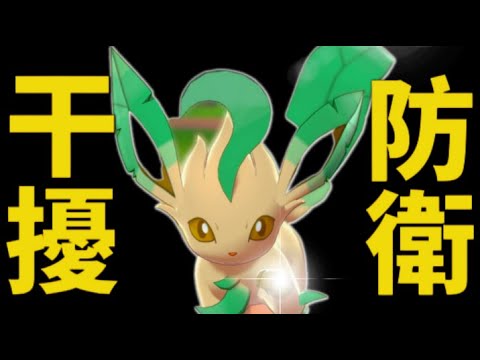 【ポケモンSV】伊布統一 EP1 イーブイ統一 寵物小精靈 精靈寶可夢 寶可夢 朱紫  葉伊布 リーフィア 育成 Pokemon Leafeon