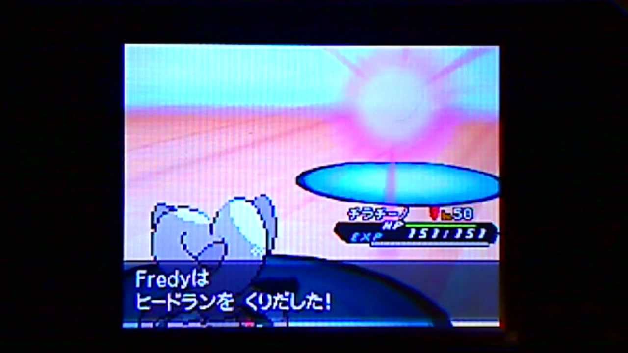 チラチーノかわいいよチラチーノ