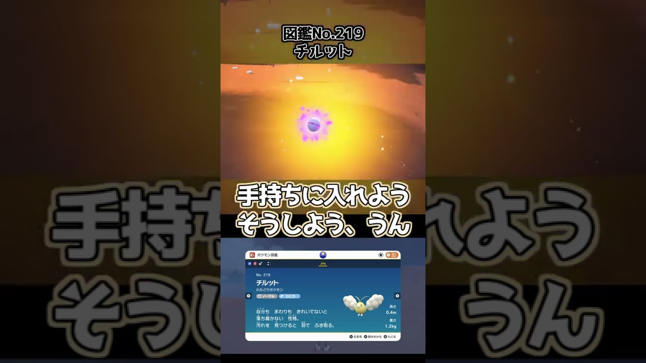 【ポケモンSV】色違いのチルットはめちゃめちゃかわいい。【本日の色違い】　#Shorts