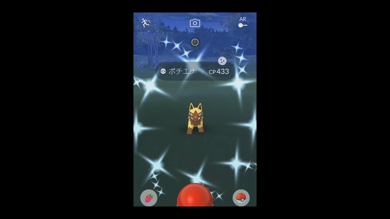 【Pokemon GO】ポチエナ色違い　光った瞬間をみたい