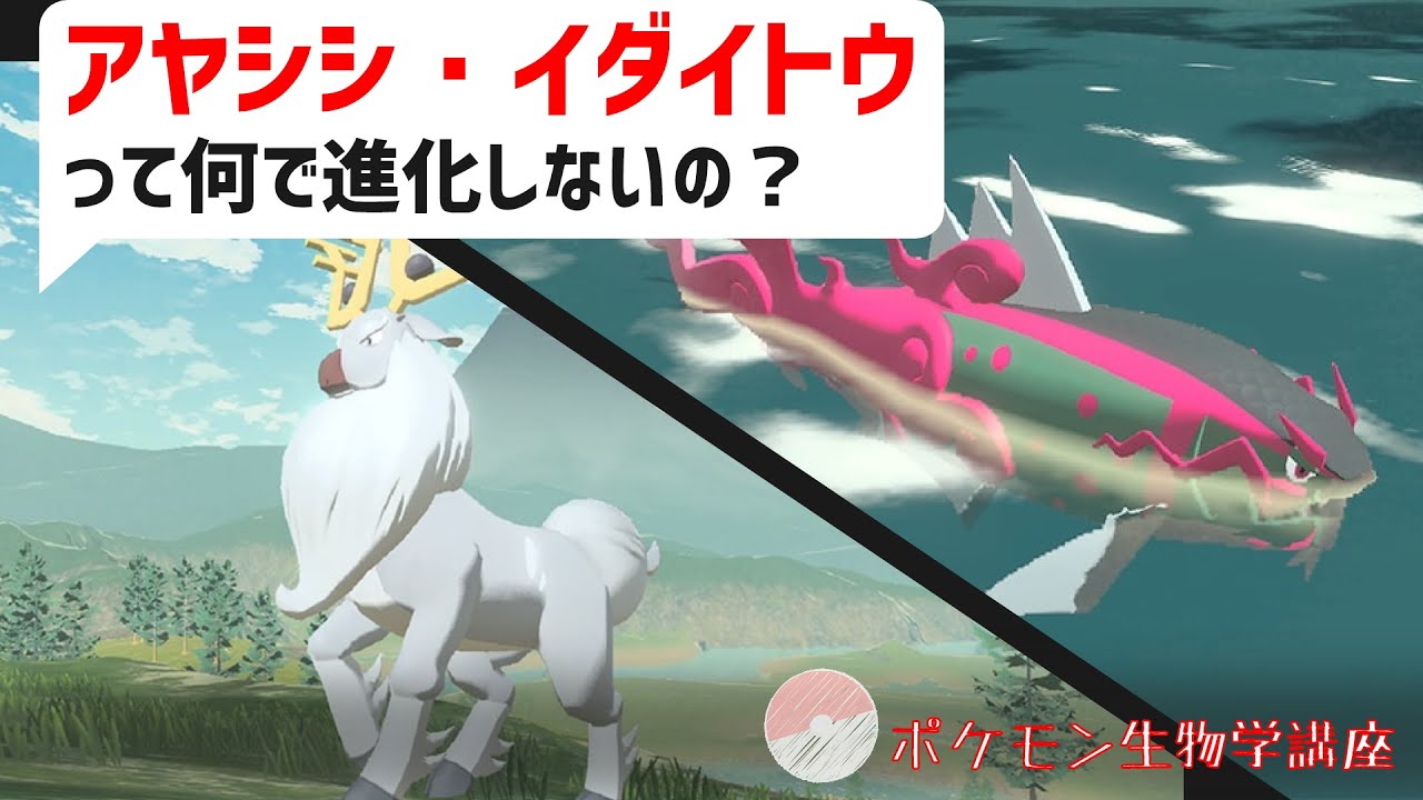 Q：なんでアヤシシとイダイトウへの進化は失われてしまったの？｜ポケモンレジェンズアルセウス、ダイパリメイク、ポケモン都市伝説考察 #Shorts