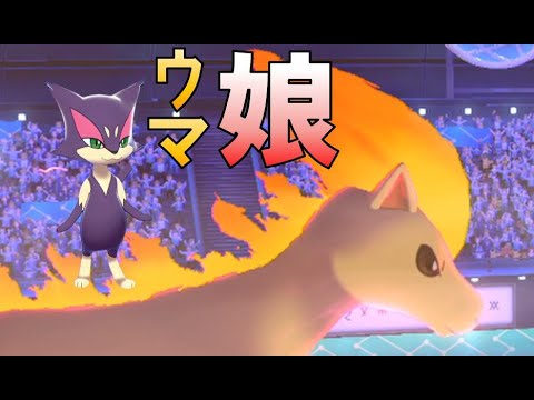 『避けル』チョロネコだけじゃない、ウマ娘といえばポニータ【禁止伝説有りランクマ】(チョロネコ)　進化前ポケでランクバトル　[ポケモン剣盾対戦パート93]