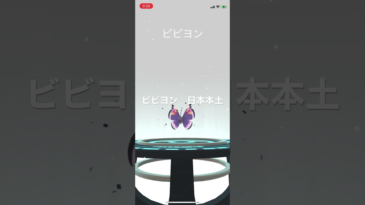 ポケモンGO コフーライをビビヨン(みやび)へ進化！ #pokémon #ポケットモンスター #short