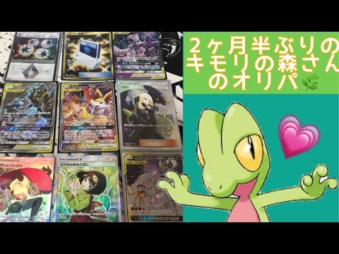 【ポケカ】2ヶ月ぶりのキモリの森さんのオリパ開封！