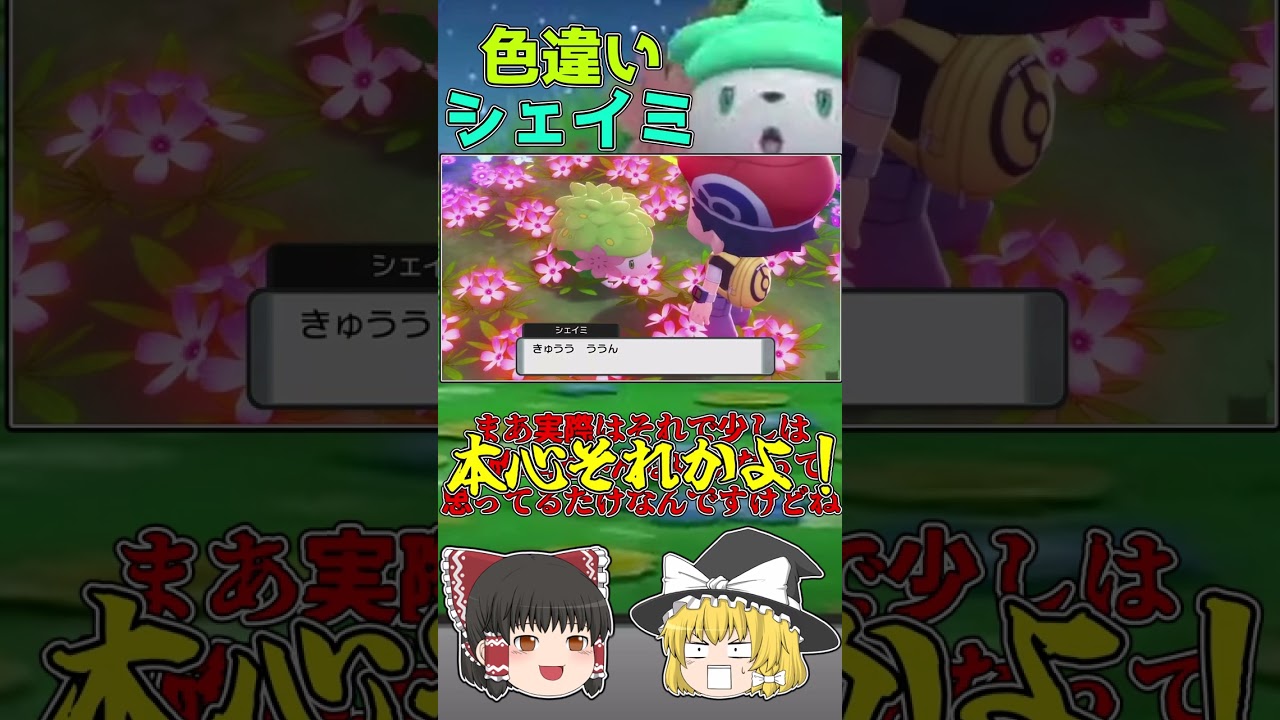 思ったより早くやってきた色違いシェイミ