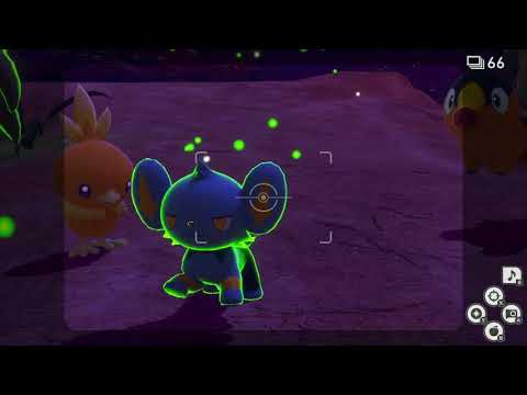 Newポケモンスナップ　★4コリンク【5177】