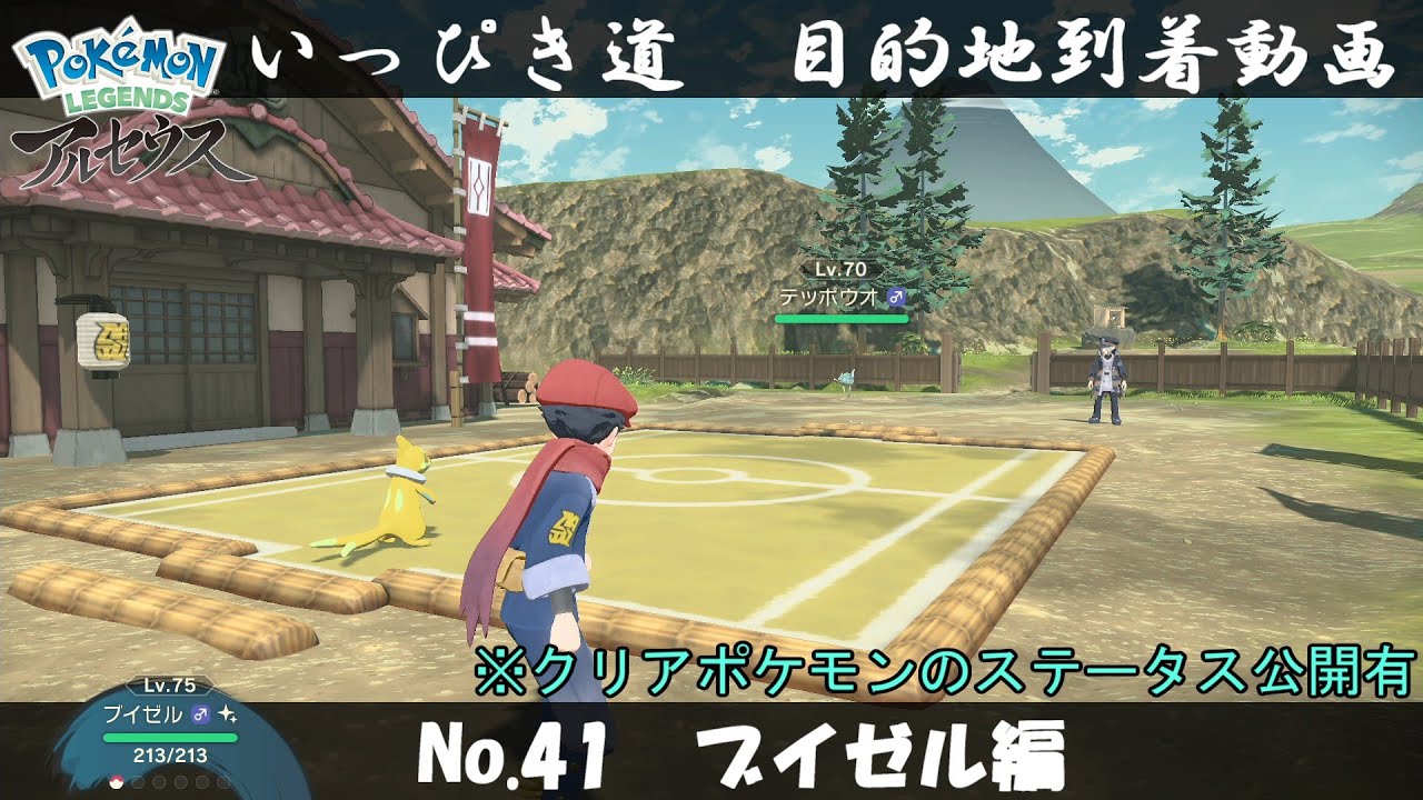【いっぴき道攻略】No.41 ブイゼル編【Pokémon LEGENDS アルセウス】