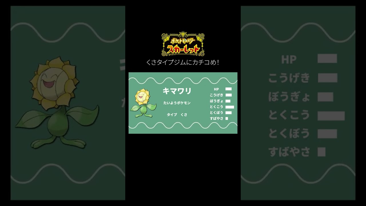 キマワリ集め？！【ポケモンSV】#shorts #ポケモン #ポケモンsv