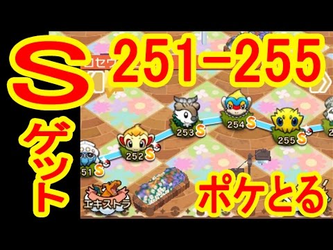 メイン255までSランクGET！マーイーカ・ヒコザル・モウカザル・バチュル　ポケとる実況