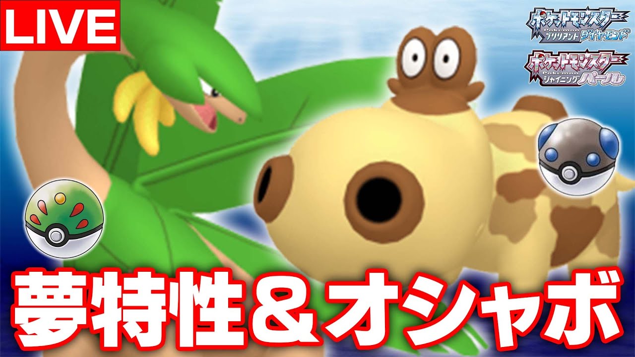 【ポケモン配布】オシャボ・夢特性の配布会！～トロピウス＆ヒポポタス～【ポケモンBDSP】