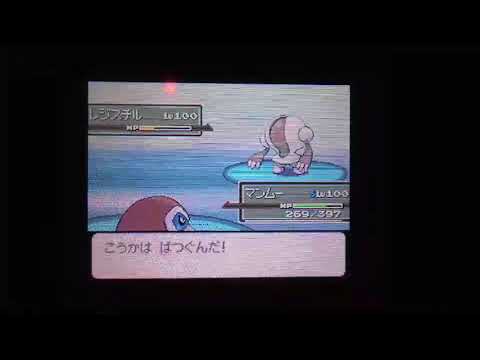 ポケモン39 ネジキ戦  サンダー    レジスチル  ドクロッグ