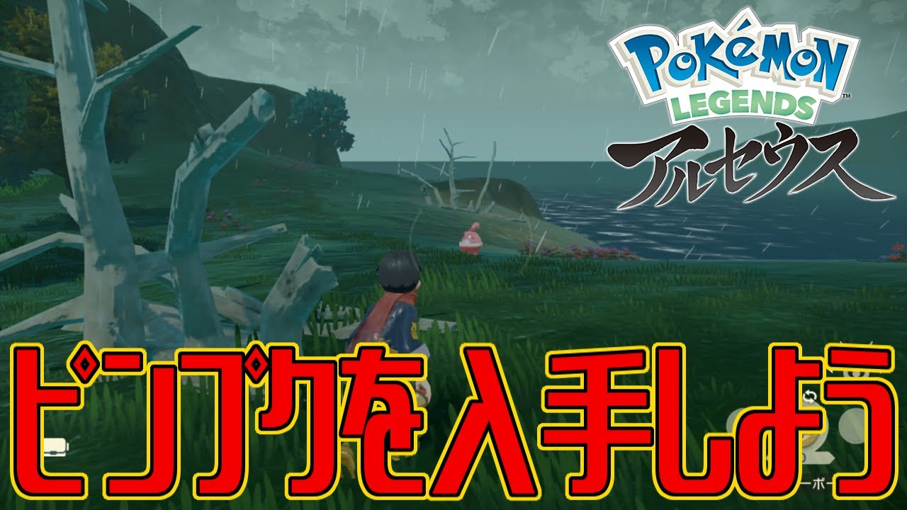 【ポケモンアルセウス】ピンプクを入手しよう【Pokémon LEGENDS アルセウス】