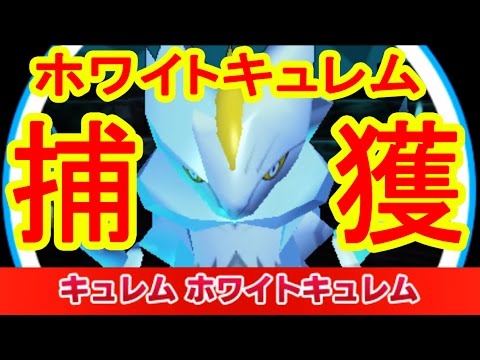 【0時 1時限定】ホワイトキュレムGET！　みんなのポケモンスクランブル実況