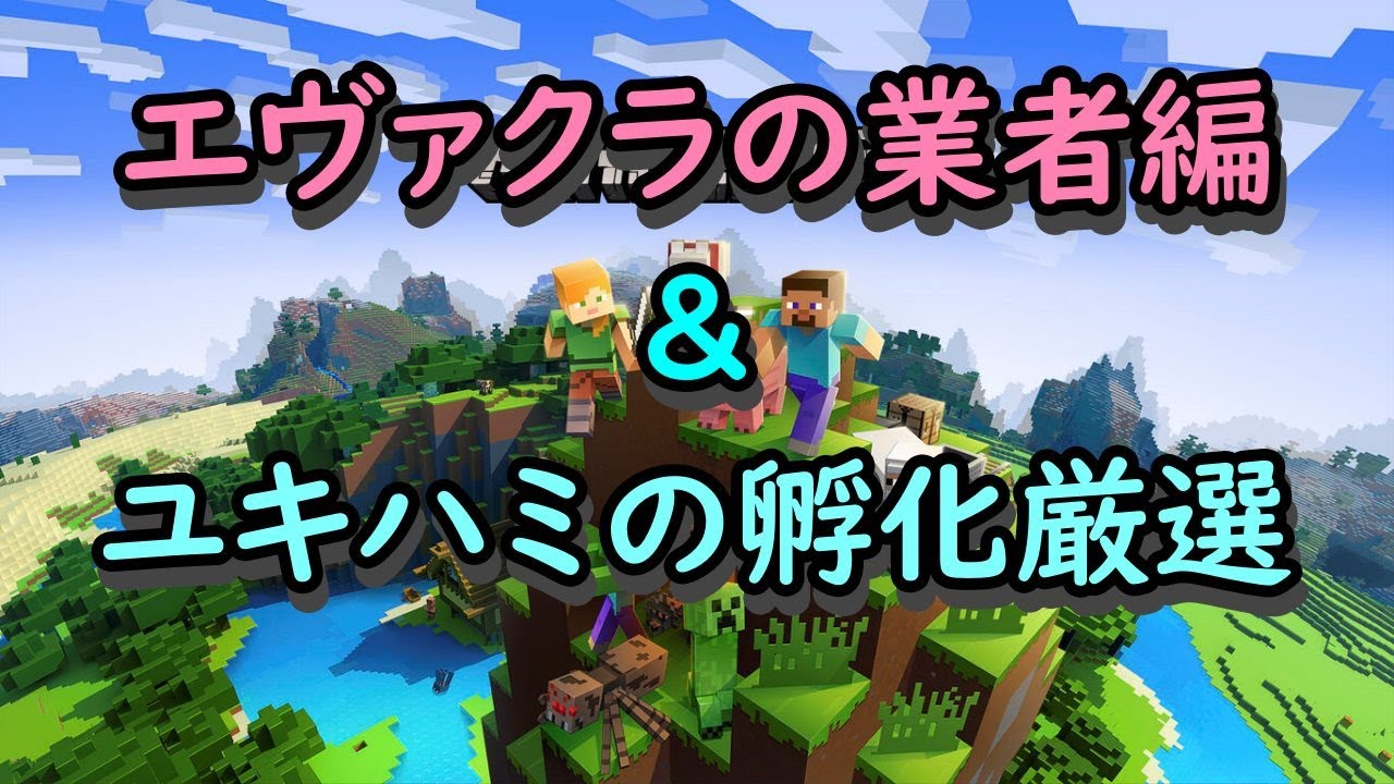 エヴァクラ ブランチマイニング編 (尚汰工務店) & ユキハミの色孵化厳選(ワイプ) 【Minecraft】