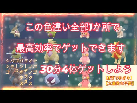 色違いキバゴ・ヨーギラス・ゴース等最高厳選方法30分4体可能　#ポケモンSV #キバゴ #オノノクス #ヨーギラス #バンギラス #ゴース #シシコ #カエンジシ #パモ #色違い