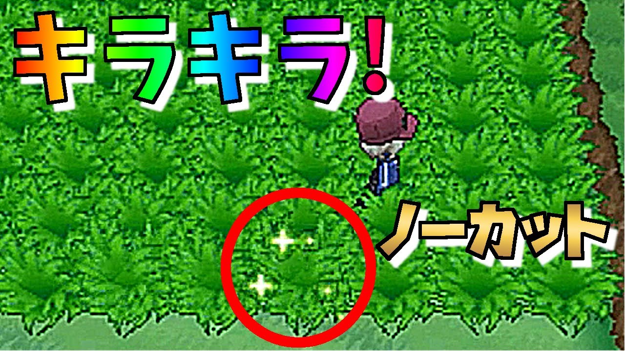[ポケットモンスターＸＹ]（色違い・ポケトレ）ＸＹのポケトレは４０連鎖前でも、けっこう光る？（part20）