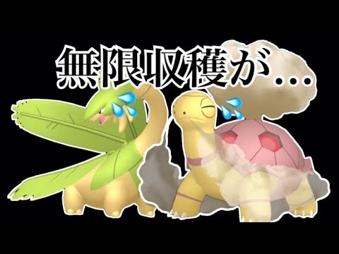 【ポケモンBDSP】トロピウスとコータスの組み合わせで無限収穫するつもりが………