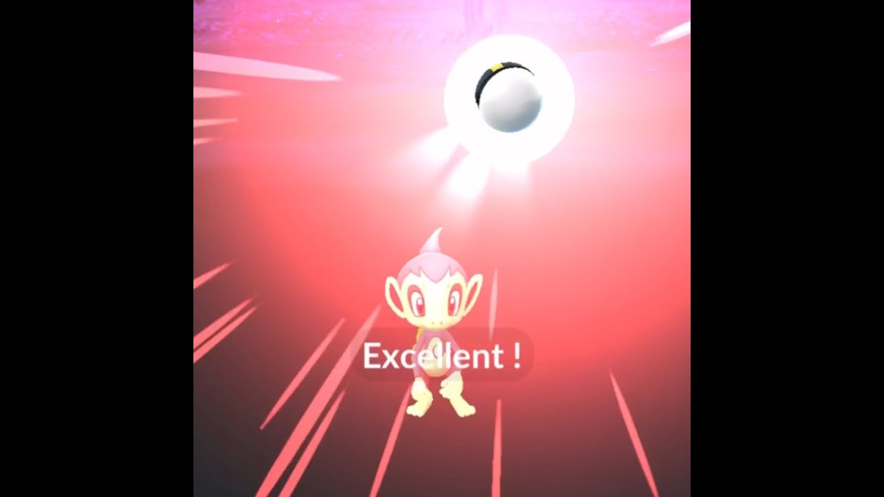 【Pokémon GO】「Why??」 ＃390 ヒコザル ☆shiny☆#Shorts