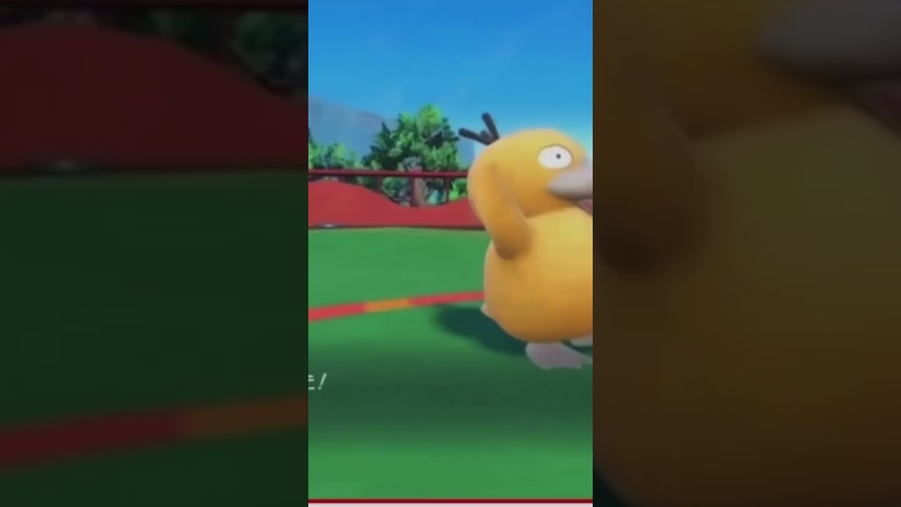 コダックかわいい