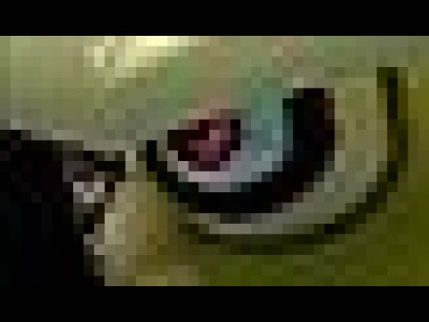 ポケモンコロシアム ヨルノズク 色粘り