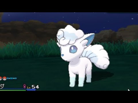 色違い全国図鑑ポケモンUSMロコン連鎖の