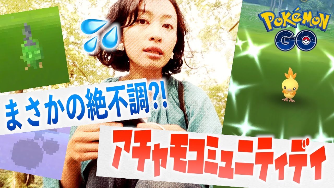 大ピンチにレアポケはかけつける？！体調不良のアチャモのコミュニティデイ！！【ポケモンGO】