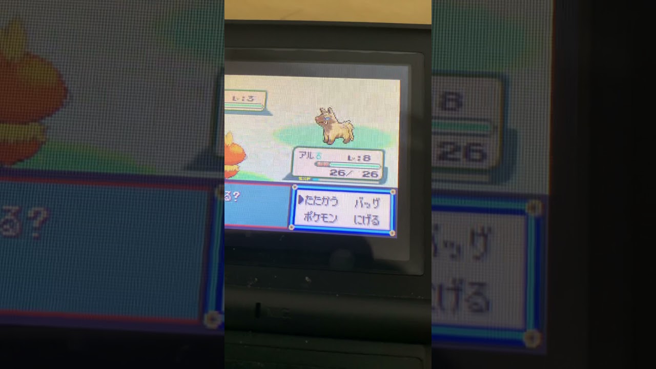 色違いポチエナゲット‼︎ ポケモン　エメラルド　Shiny poochyena get Pokemon Emeralds