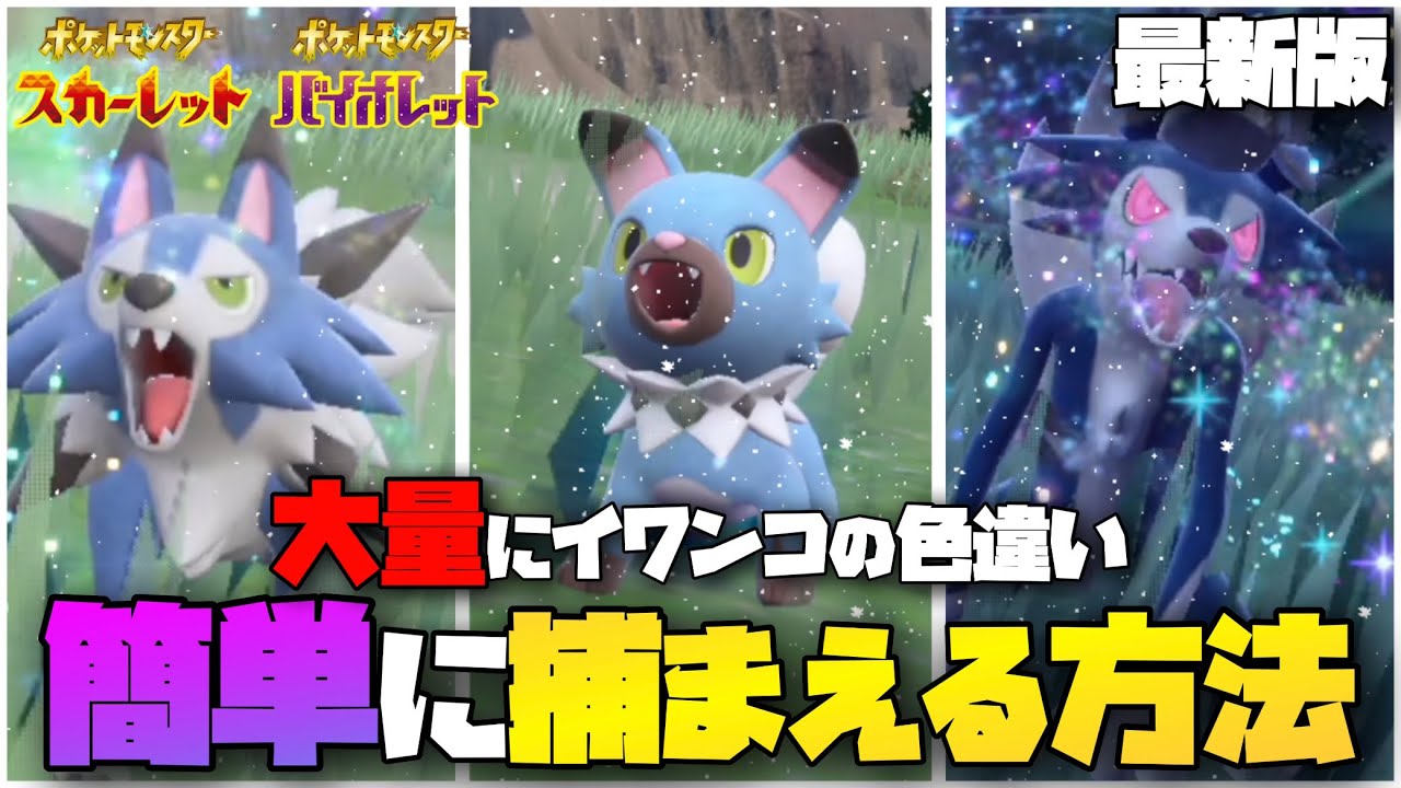 超簡単に色違いイワンコを捕まえる方法2選！【ポケモンsv】