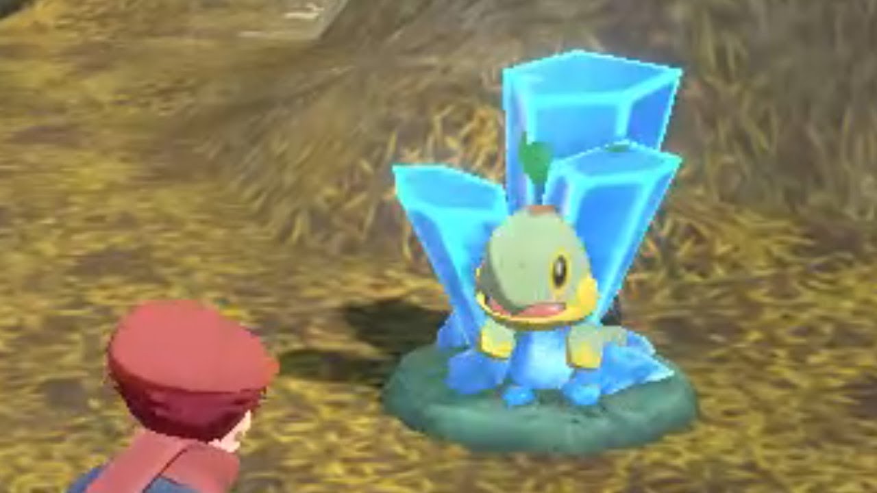 ナエトルを救いたい【レジェンズアルセウス】【ポケモン】