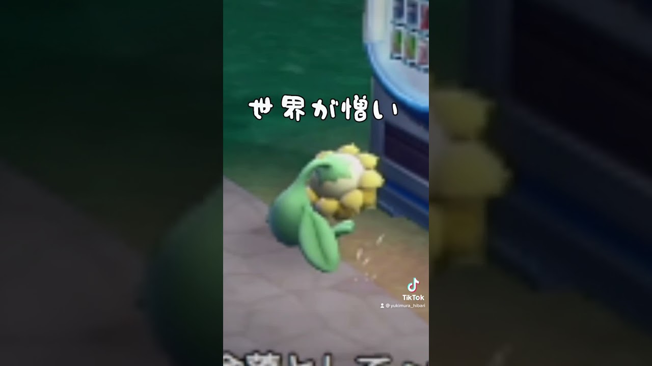 どうしたんキマワリ