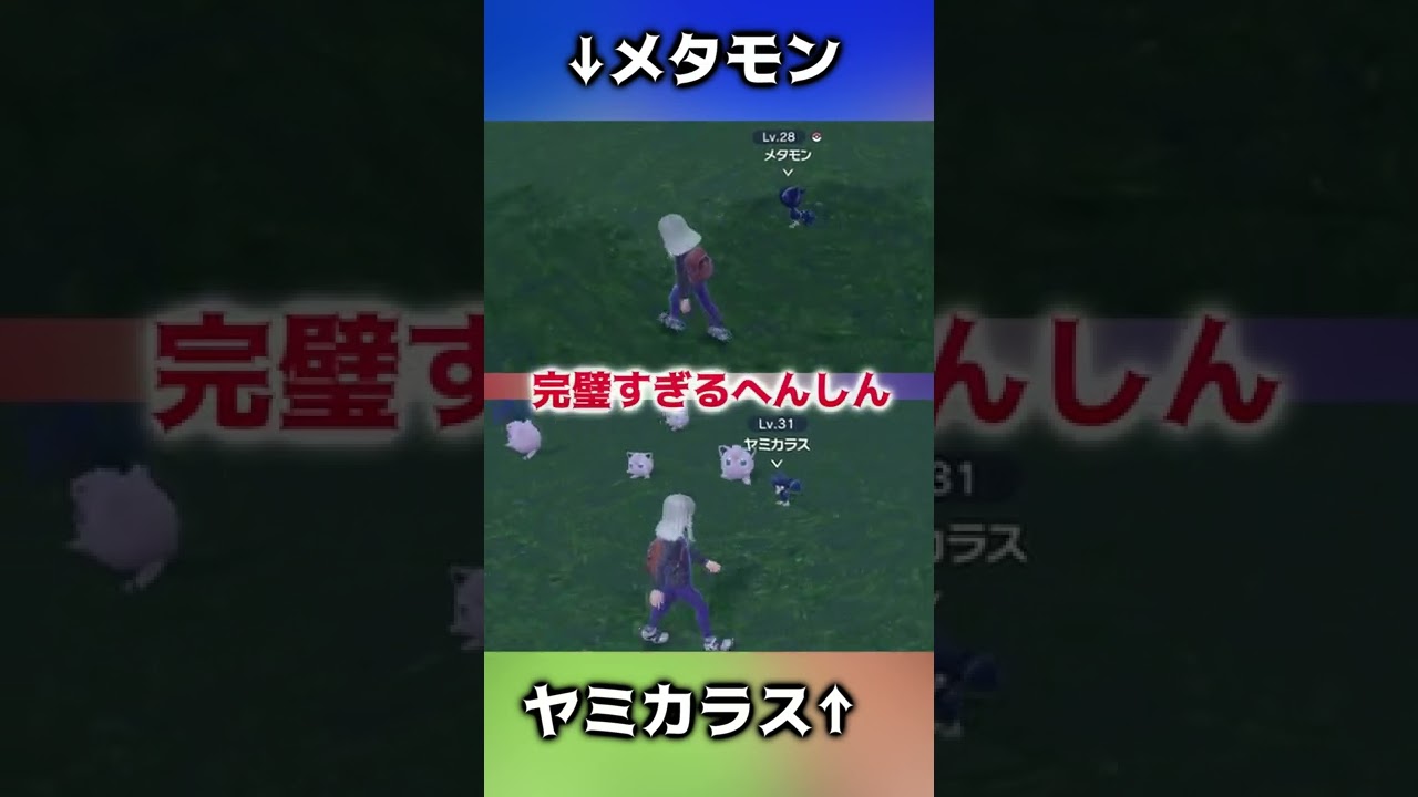メタモンとゾロアの違い【ポケモンSV】