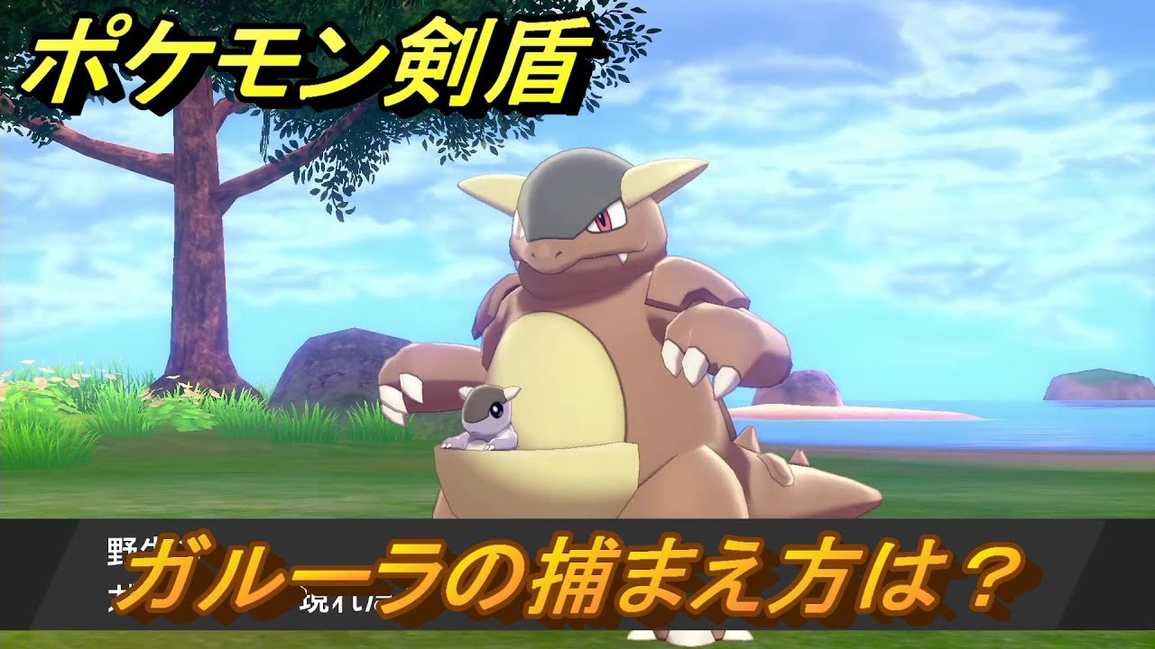 ポケモン剣盾　ガルーラを捕まえる方法！オススメの場所は？天気は？ポケモン図鑑コンプへの道！　最新版【ポケモンソード・シールド】