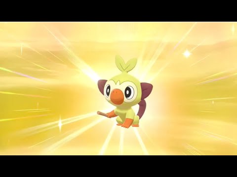 【ポケモンソードシールド】サルノリ色厳選1400～