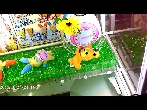【UFOキャッチャー】ポケットモンスター ほぺぴた ぬいぐるみ～ヒメグマ～