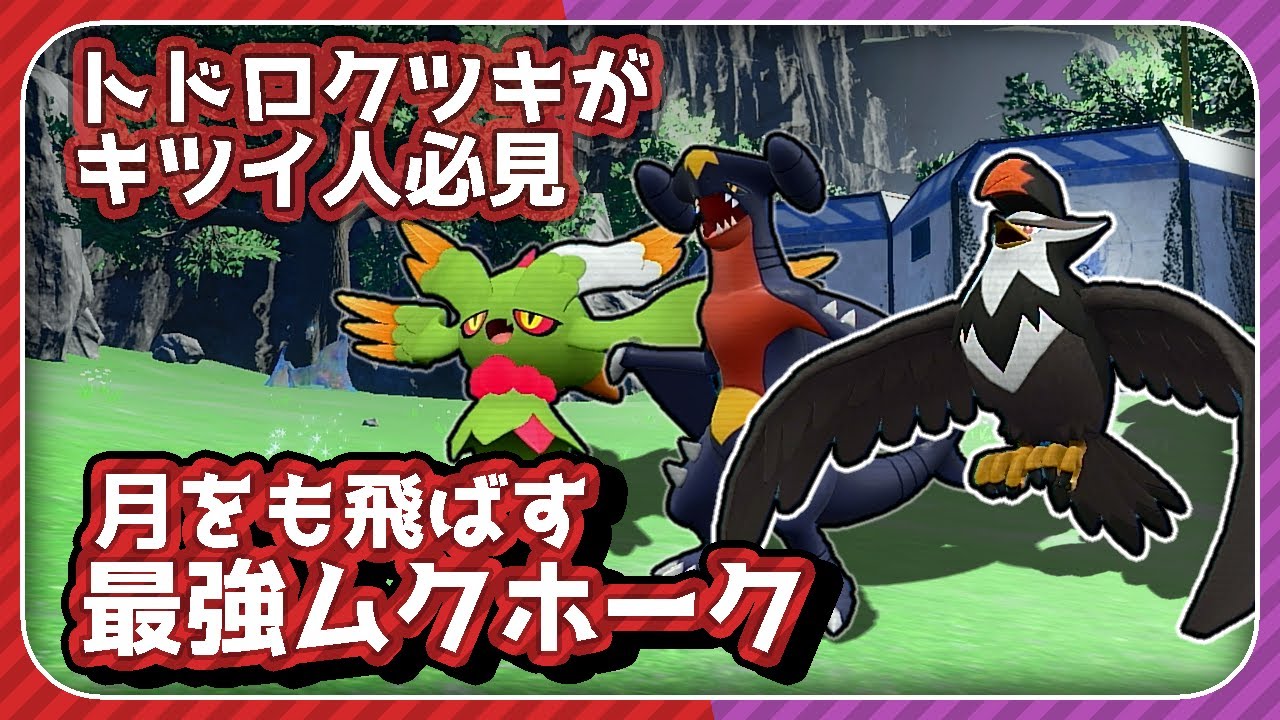今「ムクホーク」がアツいです。【ポケモンSV】【スカーレット・バイオレット】