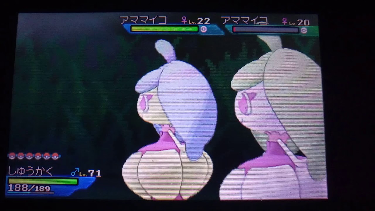 USUM 助け連鎖　アママイコ2匹目　41連鎖の神引き！